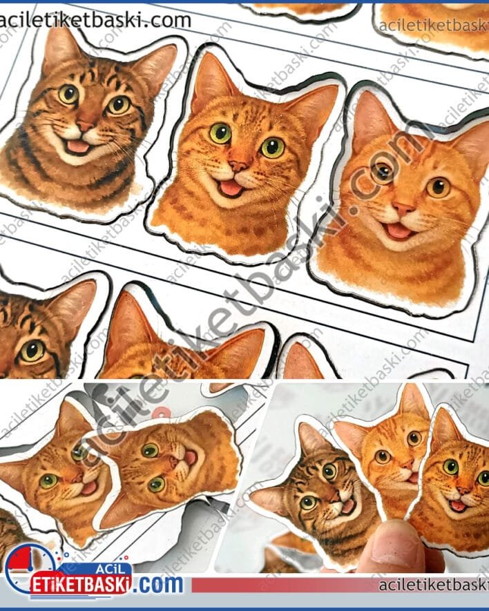 karton etiket, özel kesim, dekupe etiket, 300 gr kuşe etiket ve lazer ile kesim, kedi figürü baskısı ve kesimi, parti için, pipete yapıştırılacak kedi kafası etiketi baskısı