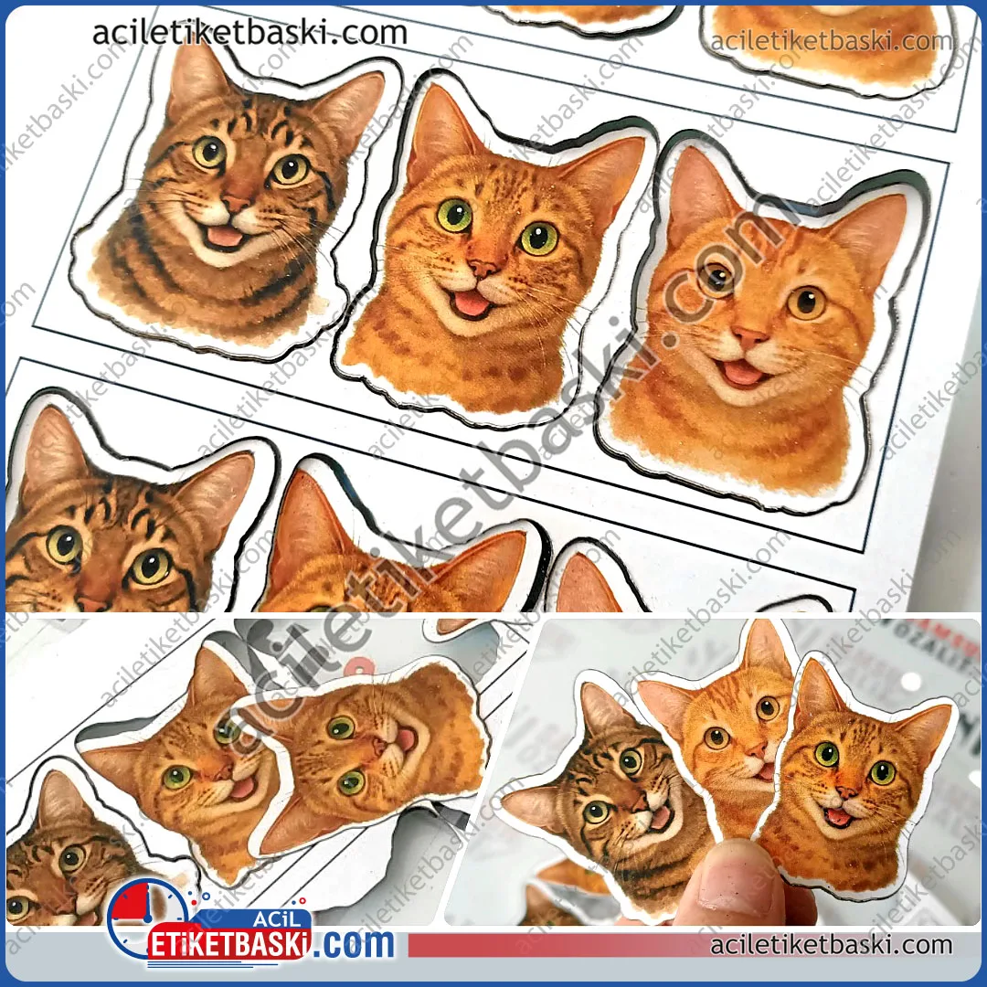 karton etiket, özel kesim, dekupe etiket, 300 gr kuşe etiket ve lazer ile kesim, kedi figürü baskısı ve kesimi, parti için, pipete yapıştırılacak kedi kafası etiketi baskısı