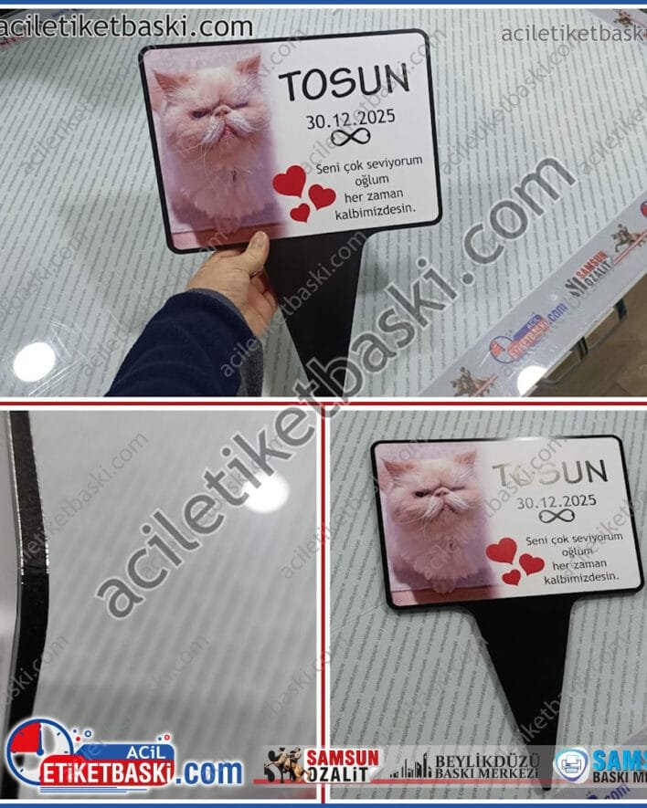 evcil hayvan, kedi için, mezar taşı, toprağa saplanan, metal ve kaliteli ürün