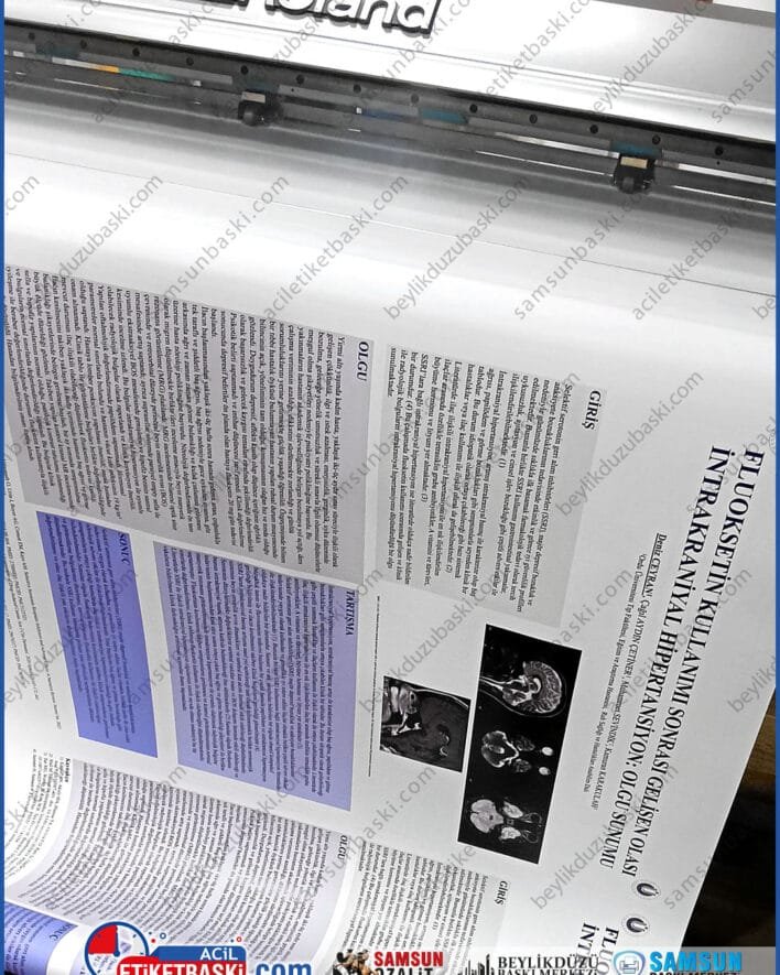 bitirme tezi posteri, akademik afiş baskısı, 70x100 poster baskısı, a0 poster çıktısı, kongre sunum posteri, tez savunma posteri, kaliteli poster kağıdı, öğrenci dostu baskı merkezi