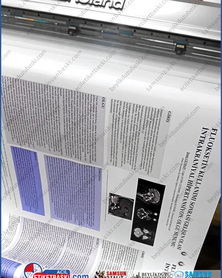 bitirme tezi posteri, akademik afiş baskısı, 70x100 poster baskısı, a0 poster çıktısı, kongre sunum posteri, tez savunma posteri, kaliteli poster kağıdı, öğrenci dostu baskı merkezi