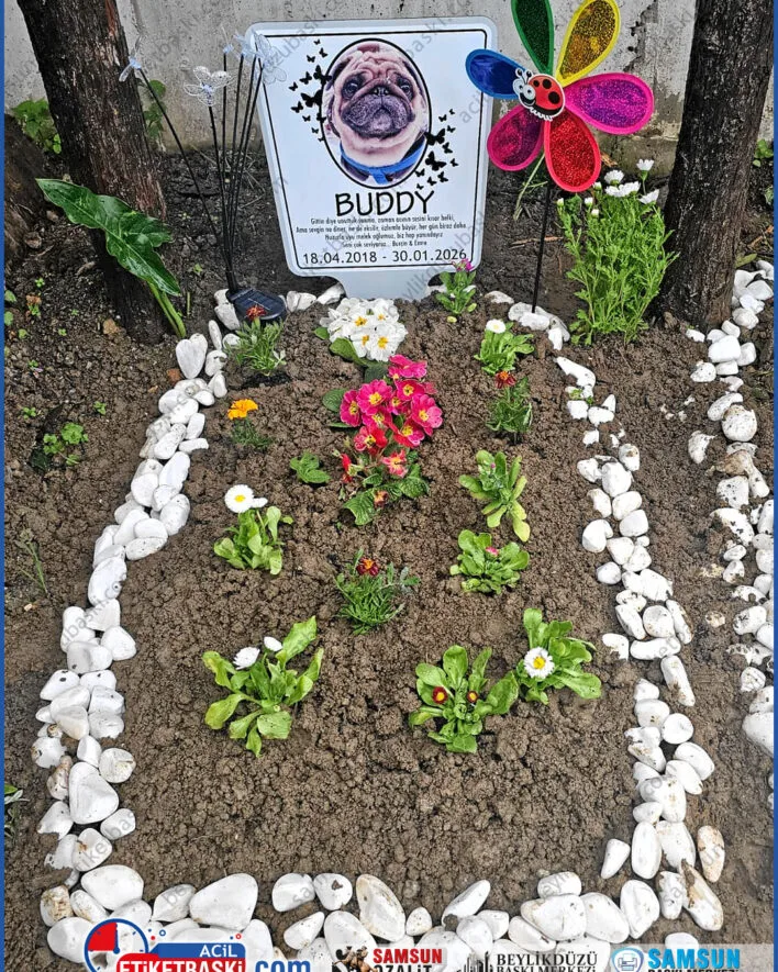 hayvan mezar başlığı, köpek mezar taşı, kedi isimlik levhası, pati figürlü mezar taşı, samsun hayvan mezar baskısı, fotoğraflı hayvan mezar levhası, bahçe tipi hayvan mezarı, evcil hayvan anıtı