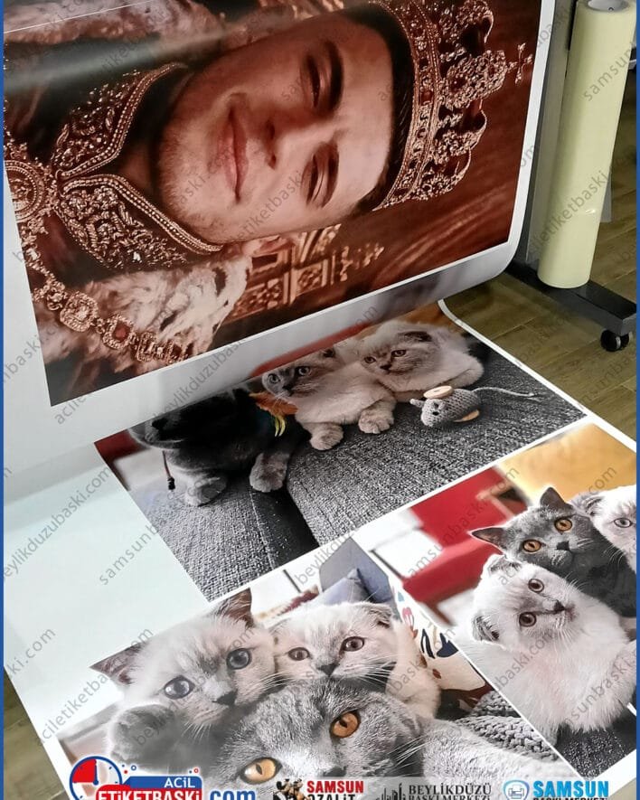 poster baskı, afiş baskısı, branda afiş, kaliteli poster kağıdı, ucuz dijital baskı, büyük boy afiş, mat kuşe poster, reklam brandası üretimi